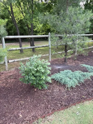 Irrigation