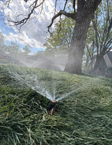 ulsa-Irrigation-Service-Irrigation-031-3-19-26-001